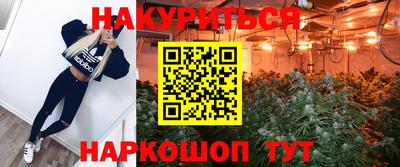 ALPHA PVP Гусев